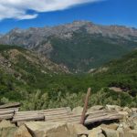 Rent a Car en Talca - Reserva Nacional Los Bellotos